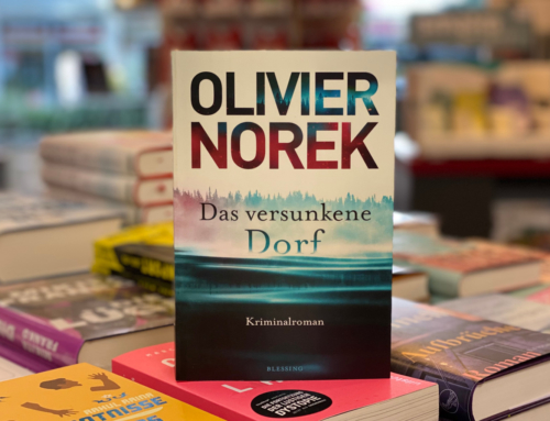 Olivier Norek: Das versunkene Dorf